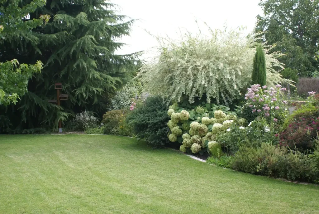 Jardin paysager avec pelouse et massifs fleuris